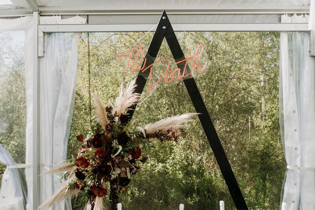 Sugar + Soul Photography - 4