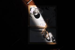 Two Bird Weddings - 5