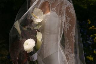 Beautiful Life Studios - Photo and Video - 5