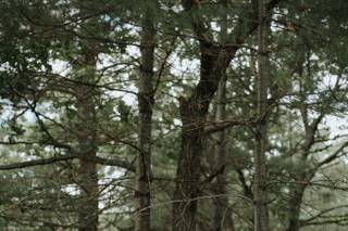 Daring Wanderer Photography - 16