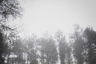Pathways on Pleasure Valley - 12
