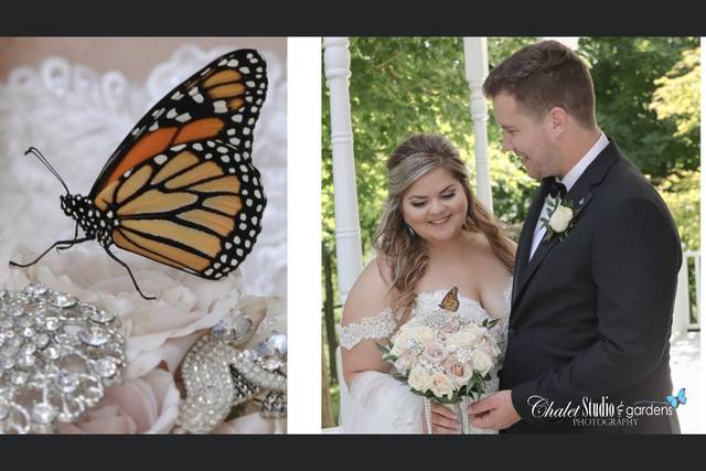 Chalet Studio Photography & Gardens 3
