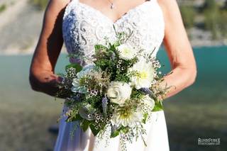 Banff Mountaintop Flowers - 8