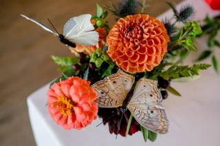 Weddings with Billies - 7