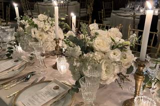 Shereen Giahi Events - 10