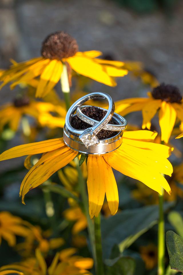 Lisa Rivard Photography - 4