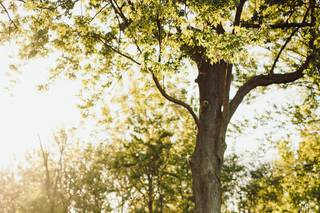 Jacob Medler Photography - 9
