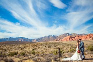 Willow Lane Photography - 7