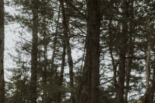 Acrewood - Intimate Weddings + Elopements - 6