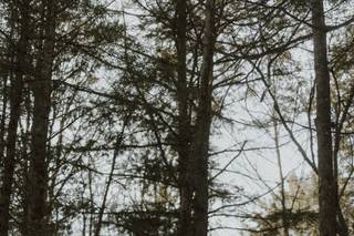 Acrewood - Intimate Weddings + Elopements - 7