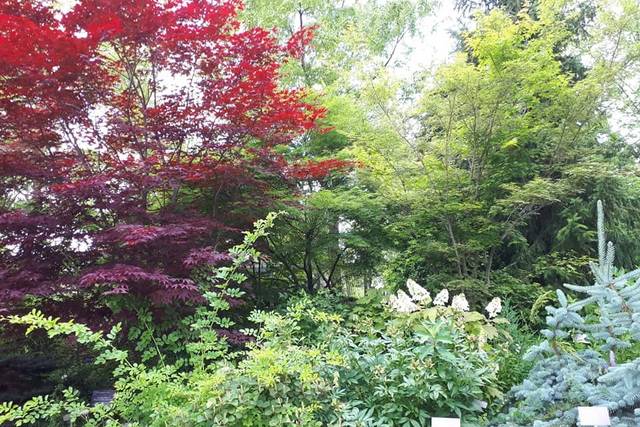 Toronto Botanical Garden 1