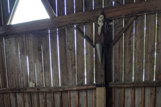 Century Wedding Barn - 11