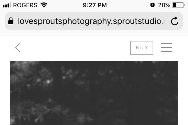 Love Sprouts Photography Inc 1