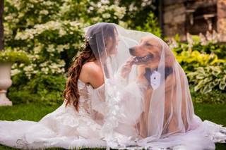 Century Barn Weddings - 11