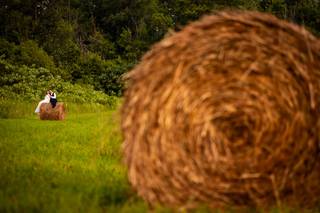 Century Barn Weddings - 12