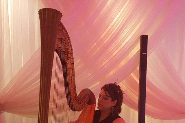 Divine Harp - Harpist 2