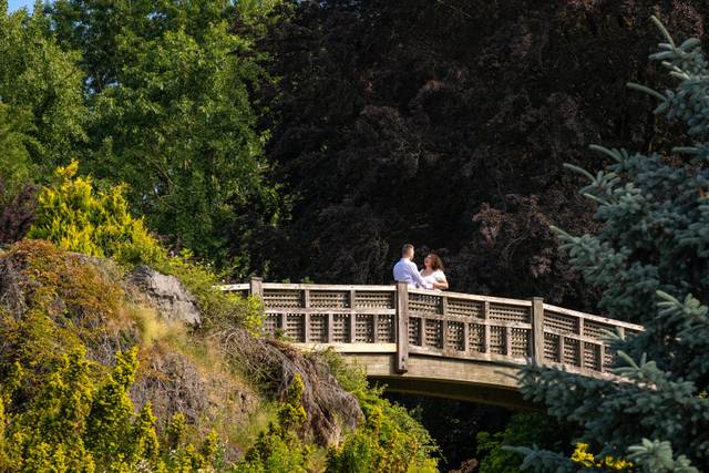 Dynamic Weddings - Planning & Coordination 5