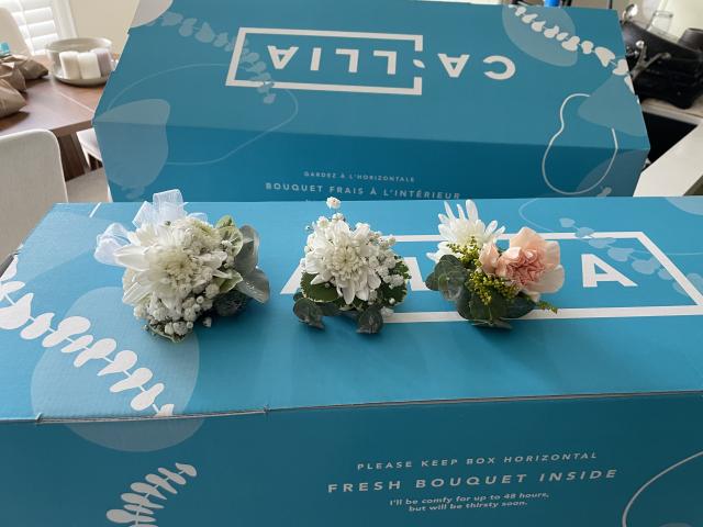 Callia Flowers - 1
