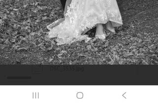 Doug Wolters Photography - 10