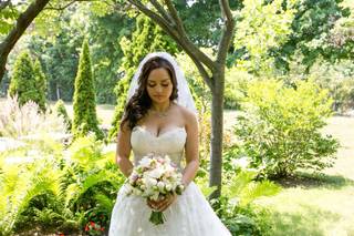 Calico Cat Productions - 10