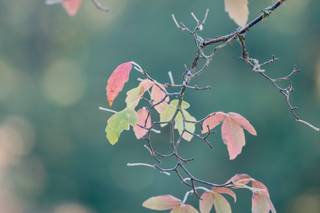 Demin Photography 1