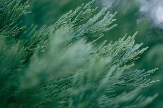 Demin Photography 2