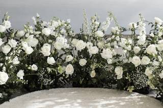 Lace & Birch - 6