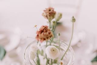 Blush & Co. - 12