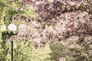 MiaLe Photography - 7