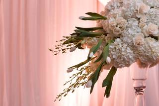 Shereen Giahi Events - 17