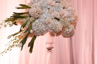 Shereen Giahi Events - 18