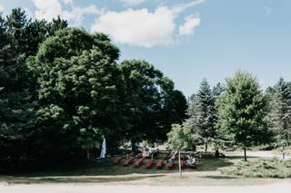 Drysdale's Tree Farm - 11