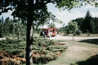 Drysdale's Tree Farm - 12