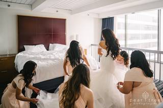 Pear Tree Photography - 15