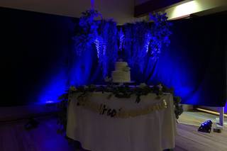 Mad Tunes Entertainment - 5