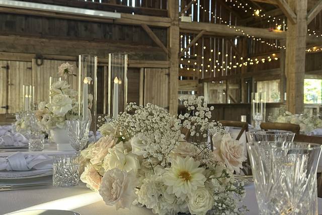 Cambium Farms 1