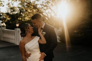 Tomophotography - 11
