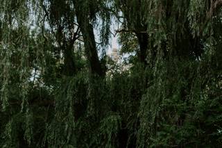 Chantal Davidson Photography - 9