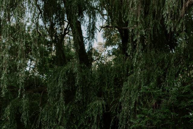 Chantal Davidson Photography 5