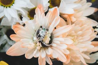 Kelly Johnson Photography - 8