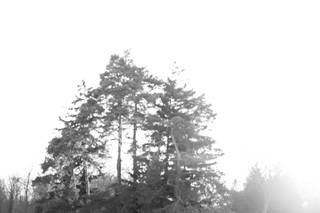 Alexandra Del Bello Photography - 19