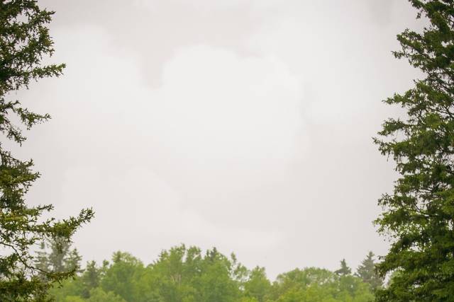 L.Bardsley Photography 3