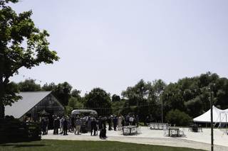 Georgian Hills Vineyard - 5