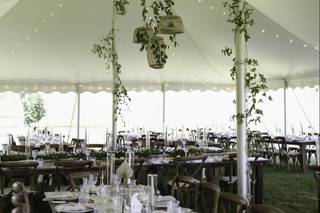 Georgian Hills Vineyard - 6