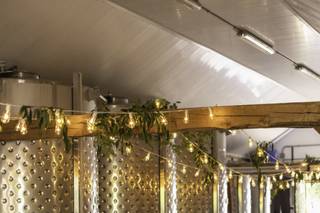 Georgian Hills Vineyard - 7