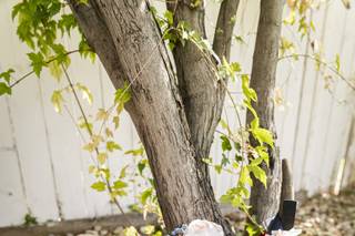 Flower Aura by Natasha - 17