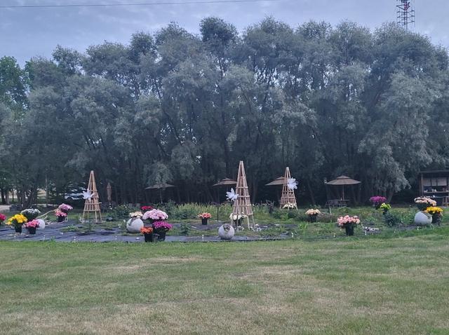 Dream Garden Venue - 4