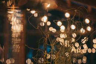 Cerise Floral Studio - 6