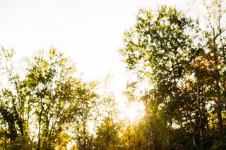 Farrah Sanjari Photography - 10