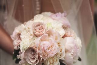 Carlin Anquist Photography - 7